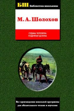 Михаил Шолохов Поднятая целина обложка книги