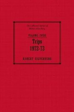 Robert Silverberg Trips обложка книги