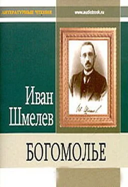 Иван Шмелев Богомолье обложка книги