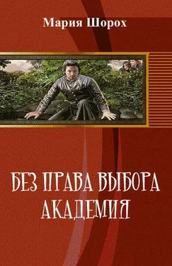 Мария Шорох Без права выбора. Академия (СИ) обложка книги