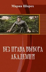 Мария Шорох - Без права выбора. Академия (СИ)