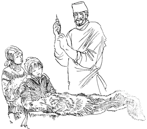 Люда с Зентой вышли на крылечко Погода выдалась на редкость хорошая Ещё не - фото 9