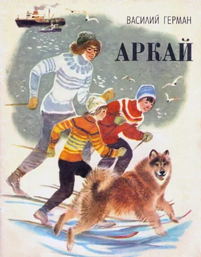 Василий Герман Аркай обложка книги