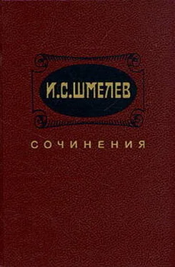 Иван Шмелев Неупиваемая чаша обложка книги