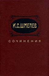 Иван Шмелев - Неупиваемая чаша