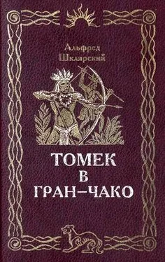 Альфред Шклярский Томек в Гран-Чако обложка книги