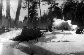 Бой в лесу Зима 1942 г В этот день 9 января 1942 года эсэсовцы - фото 38