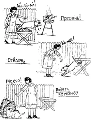 Пресечь Строго скажите стоять или Айайай свистните резко хлопните в - фото 20
