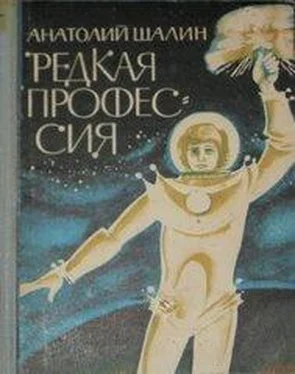 Анатолий Шалин Рыжий хвост удачи обложка книги