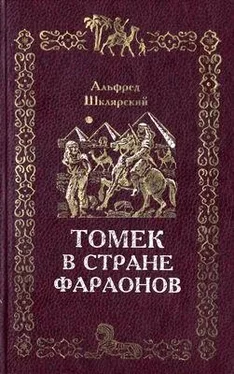 Альфред Шклярский Томек в стране фараонов обложка книги