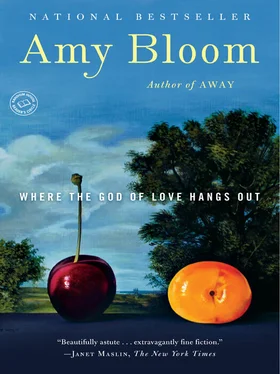 Amy Bloom Where the God of Love Hangs Out обложка книги