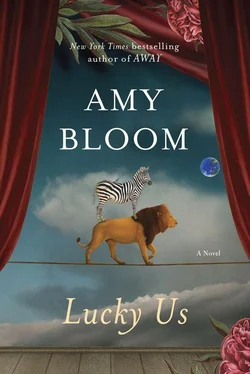 Amy Bloom Lucky Us обложка книги