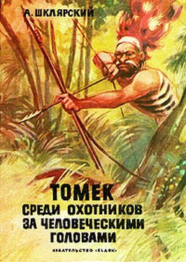 Альфред Шклярский Томек среди охотников за человеческими головами обложка книги