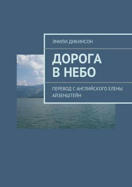 Эмили Дикинсон Дорога в небо обложка книги