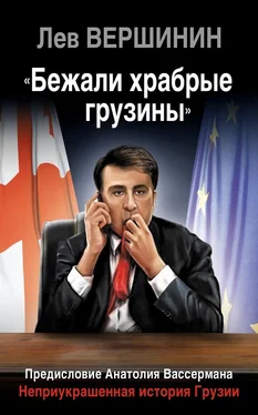 Лев Вершинин «Бежали храбрые грузины». Неприукрашенная история Грузии обложка книги