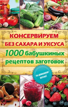 Елена Кара Консервируем без сахара и уксуса. 1000 бабушкиных рецептов заготовок обложка книги
