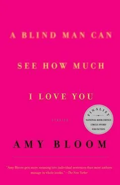 Amy Bloom A Blind Man Can See How Much I Love You обложка книги