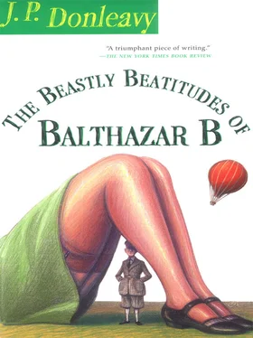 J. Donleavy The Beastly Beatitudes of Balthazar B обложка книги