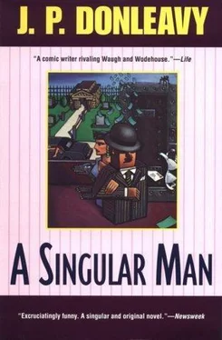 J. Donleavy A Singular Man обложка книги