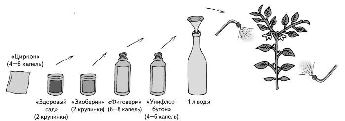 Рис 11 Формирование томата Рис 12 Убирать регулярно раз в неделю - фото 13