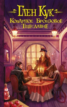 Глен Кук Коварное бронзовое тщеславие обложка книги