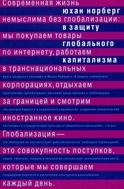 Юхан Норберг В защиту глобального капитализма обложка книги