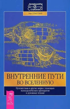 Рик Страссман Внутренние пути во Вселенную. Путешествия в другие миры с помощью психоделических препаратов и духов. обложка книги