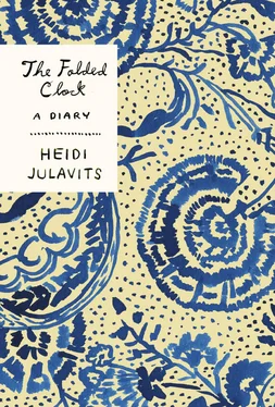 Heidi Julavits The Folded Clock: A Diary обложка книги