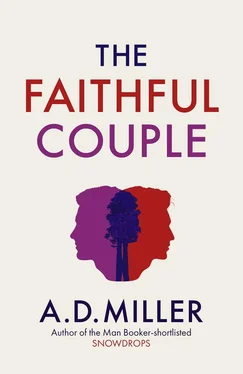 A. Miller The Faithful Couple обложка книги