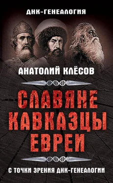 Анатолий Клёсов Славяне, кавказцы, евреи с точки зрения ДНК-генеалогии обложка книги