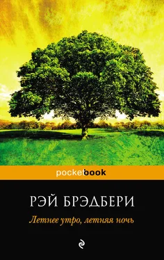 Рэй Брэдбери Летнее утро, летняя ночь (сборник) обложка книги