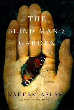 Nadeem Aslam The Blind Man's Garden