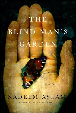 Nadeem Aslam The Blind Man's Garden обложка книги