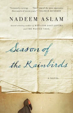 Nadeem Aslam Season of the Rainbirds обложка книги