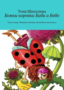 Тоня Шипулина Божьи коровки Биби и Бобо обложка книги