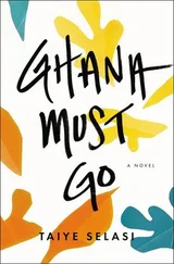 Taiye Selasi - Ghana Must Go