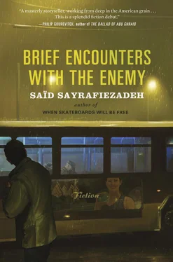 Said Sayrafiezadeh Brief Encounters with the Enemy