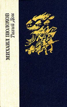 Михаил Шолохов Тихий Дон. Том 2 обложка книги