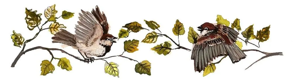 Верность Бэллочка к тебе гости нараспев сказала мама заглядывая к - фото 8