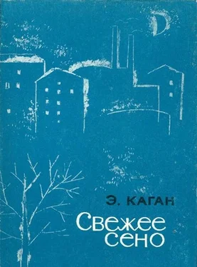 Эля Каган Свежее сено обложка книги