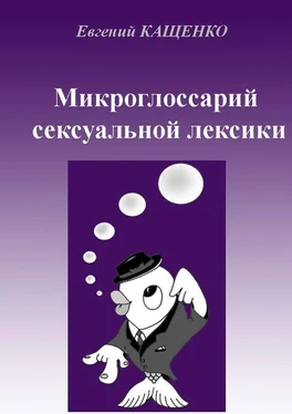 Евгений Кащенко Микроглоссарий сексуальной лексики обложка книги