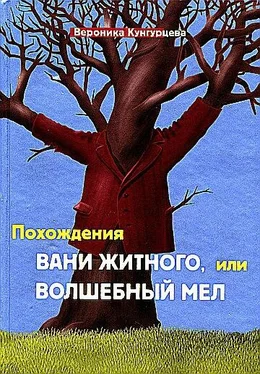 Вероника Кунгурцева Похождения Вани Житного, или Волшебный мел обложка книги