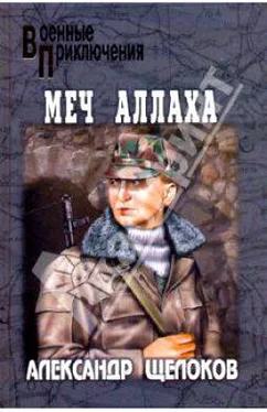 Александр Щелоков Меч Аллаха обложка книги