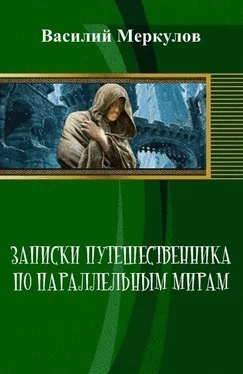 Василий Меркулов Записки путешественника по параллельным мирам обложка книги