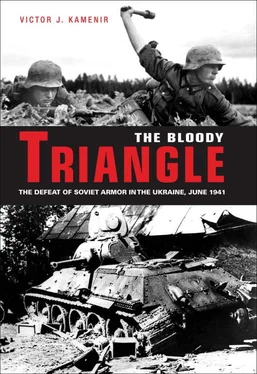 Victor Kamenir The Bloody Triangle обложка книги