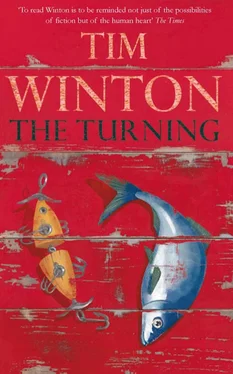 Tim Winton The Turning обложка книги