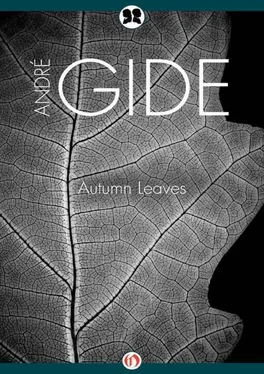 André Gide Autumn Leaves обложка книги