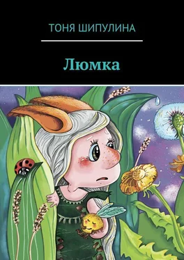 Тоня Шипулина Люмка обложка книги