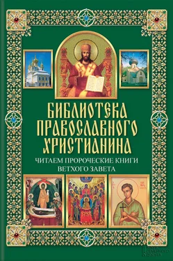 Павел Михалицын Читаем Пророческие книги Ветхого Завета обложка книги