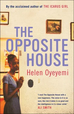 Helen Oyeyemi The Opposite House обложка книги